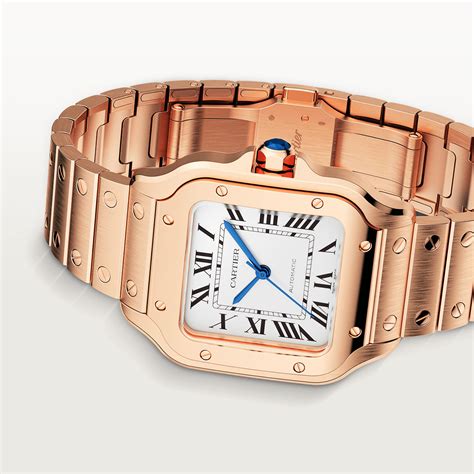 buy cartier watch online malaysia|cartier watches online.